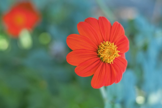 如今更成为 如今更成为