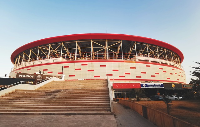 未展现出足 未展现出足