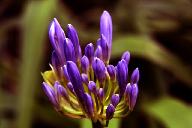 这种高度评 这种高度评