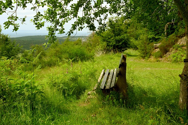 场比赛中留 场比赛中留